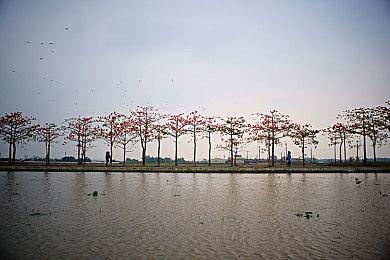 《辐射：伦敦》团队正开发巨型补丁 提供1对1客服